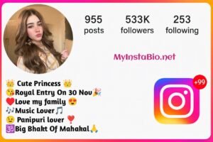 Cool Instagram Bio For Girls