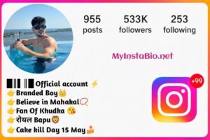 Short Instagram Bio For Boys