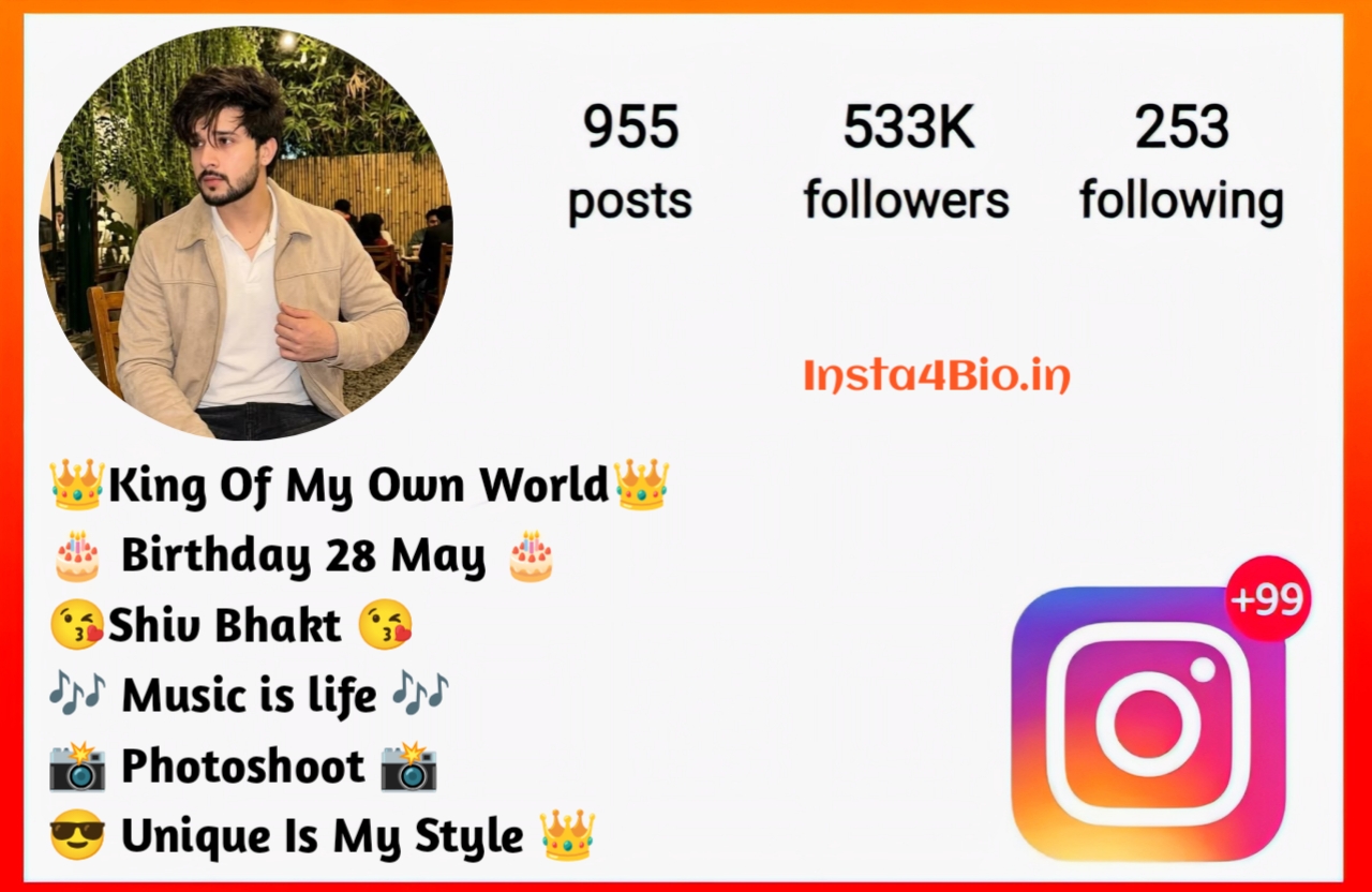 Instagram Bio For Boys Simple
